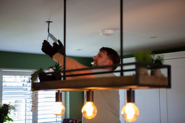 Best Electric Panel Repair  in Afton, WY